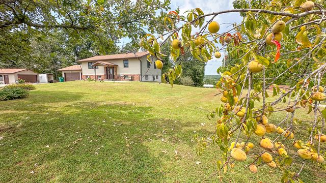 490 Highway 95, Mountain Grove, MO 65711
