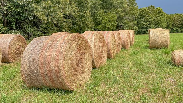 490 Highway 95, Mountain Grove, MO 65711