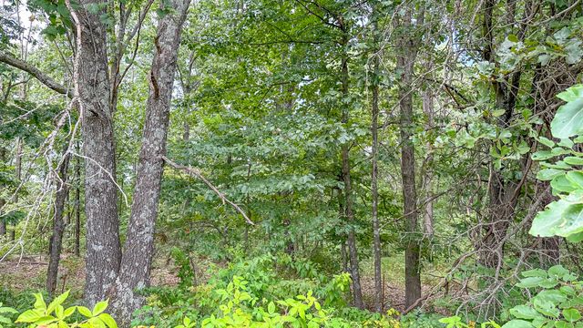 490 Highway 95, Mountain Grove, MO 65711