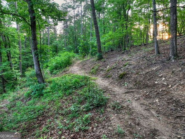 270 Wild Oaks Way, Ellijay, GA 30540
