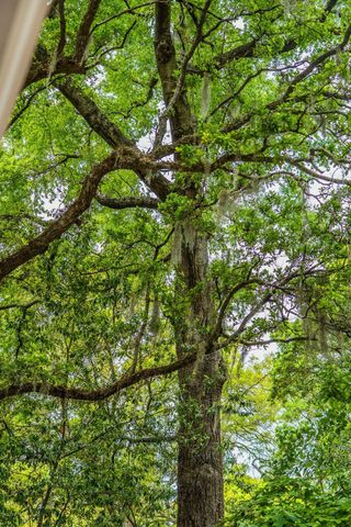 288 Molasses Lane, Mount Pleasant, SC 29464