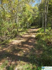 123 Stone Mountain Road, East Penn Twp, PA 18235
