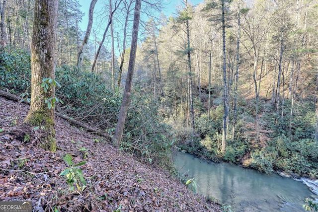 14 Big Shoals Road, Tiger, GA 30576