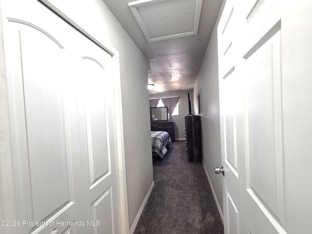 21390 Lehouier Drive, Spring Hill, FL 34610