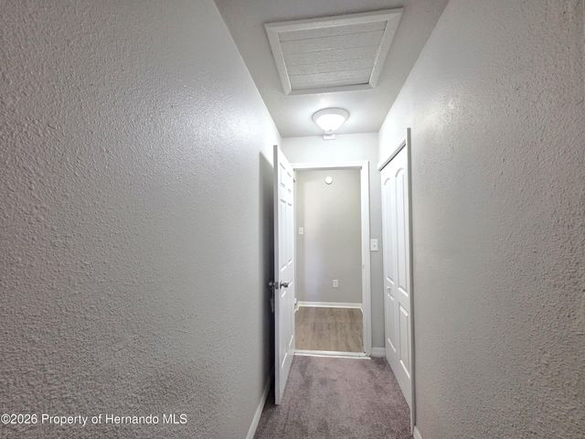 21390 Lehouier Drive, Spring Hill, FL 34610