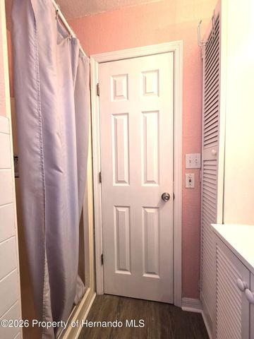 21390 Lehouier Drive, Spring Hill, FL 34610