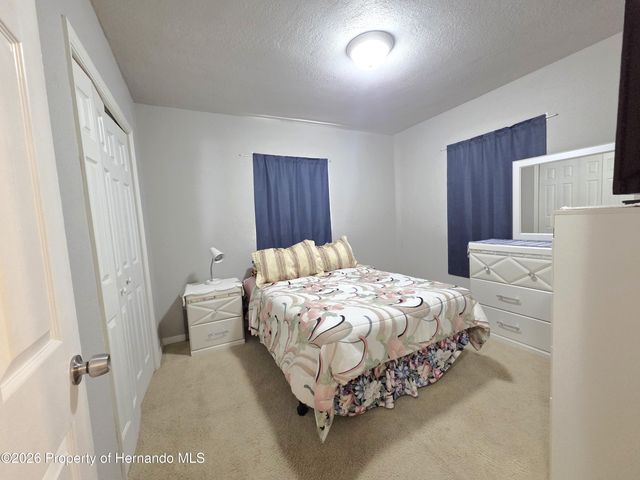 21390 Lehouier Drive, Spring Hill, FL 34610