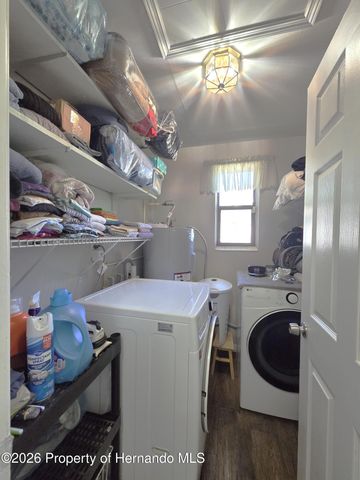 21390 Lehouier Drive, Spring Hill, FL 34610