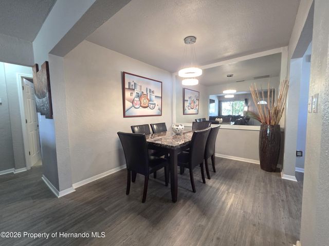 21390 Lehouier Drive, Spring Hill, FL 34610