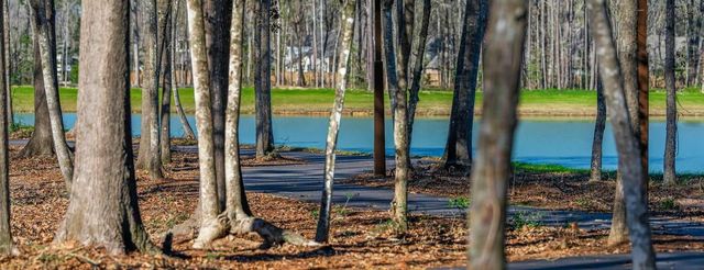 9628 Mount Brewer Lane, Porter, TX 77365