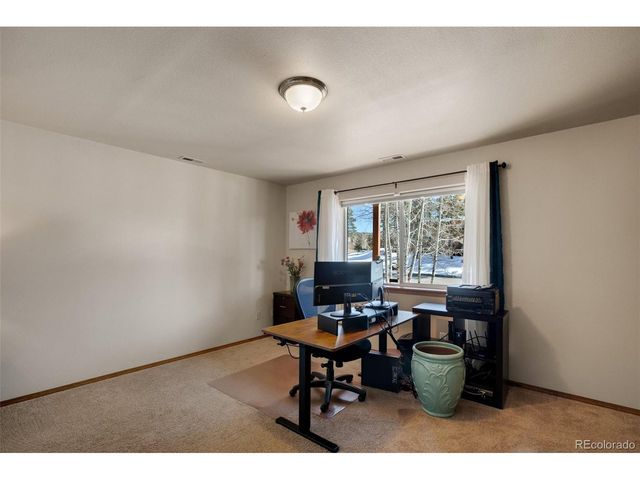 350 Panther Ct, Woodland Park, CO 80863