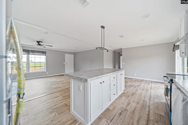 6597 Wagener Road, Wagener, SC 29164