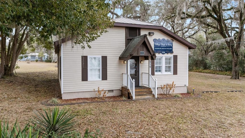 219 W MCCLENDON STREET, Lady Lake, FL 32159