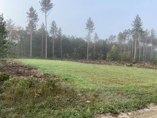 Lt0 BACK ACRES DRIVE, Pembine, WI 54156