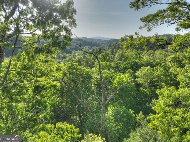 112 Fawn Way, Mineral Bluff, GA 30559