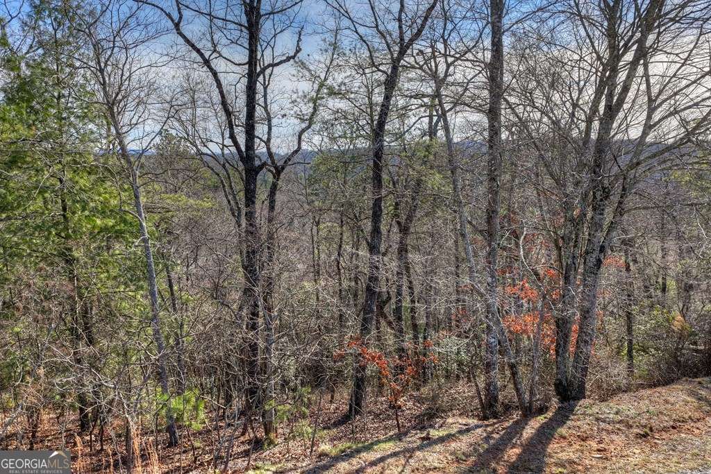 112 Fawn Way, Mineral Bluff, GA 30559