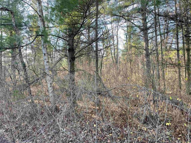 Plank Road, Tawas City, MI 48763