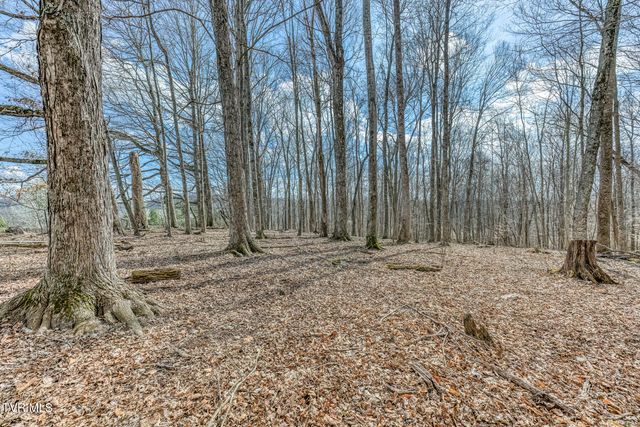 756 Highway 75, Blountville, TN 37617