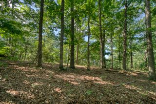 Windsong Lane, Eureka Springs, AR 72631