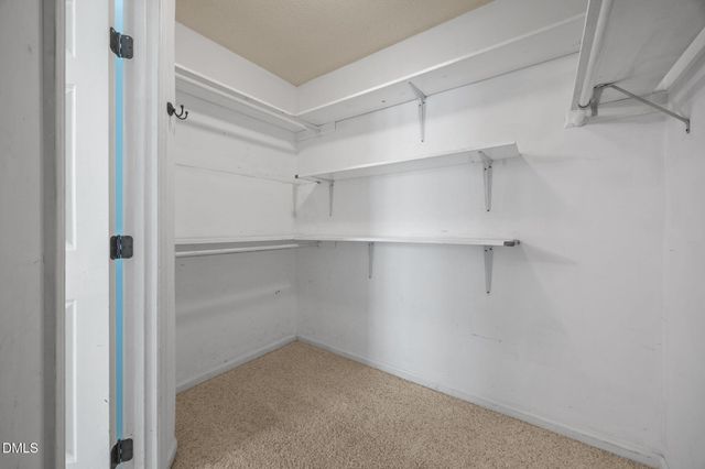 642 Tyler Run Drive, Wake Forest, NC 27587