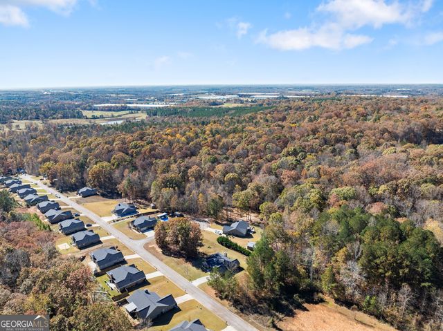 290 Emily Forest Way, Pendergrass, GA 30567