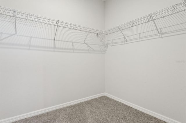 13743 RANGELAND BOULEVARD, Odessa, FL 33556