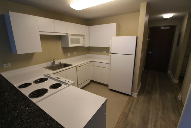 2 E Erie Street 1901, Chicago, IL 60611