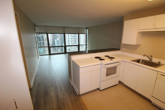 2 E Erie Street 1901, Chicago, IL 60611