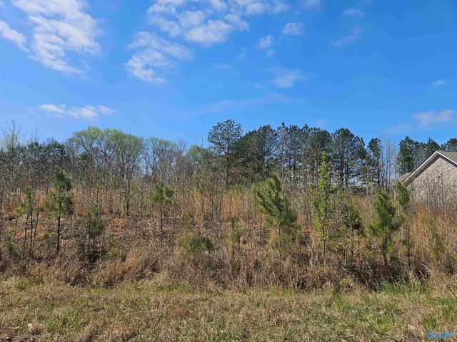 Lot 37 Southern Pine Drive, Toney, AL 35773