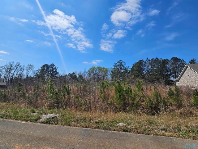Lot 37 Southern Pine Drive, Toney, AL 35773