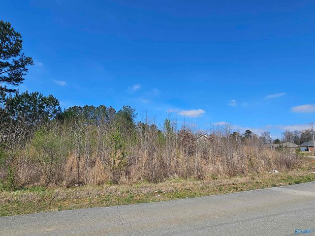 Lot 37 Southern Pine Drive, Toney, AL 35773