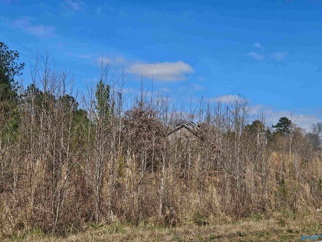 Lot 37 Southern Pine Drive, Toney, AL 35773