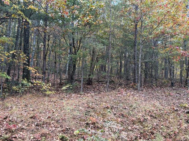 0 Lot 7 Black Bear Court, Ellijay, GA 30536