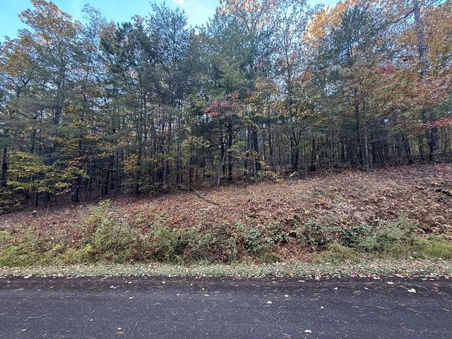 0 Lot 7 Black Bear Court, Ellijay, GA 30536