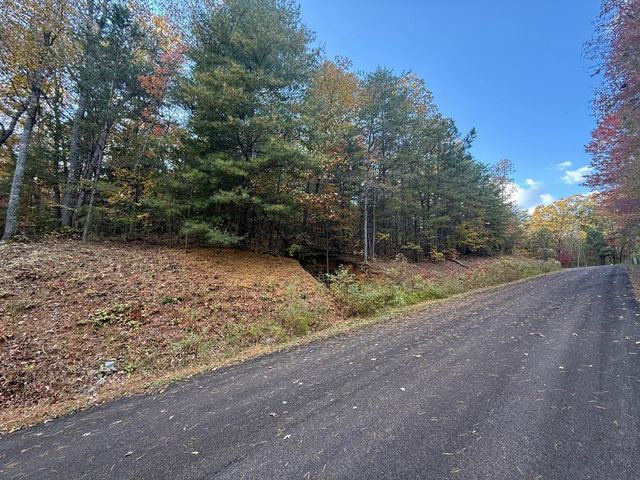 0 Lot 7 Black Bear Court, Ellijay, GA 30536