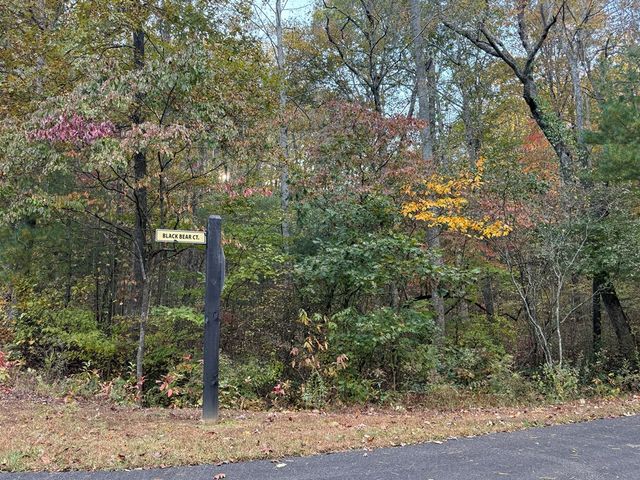 0 Lot 7 Black Bear Court, Ellijay, GA 30536