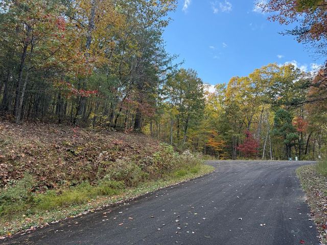 0 Lot 7 Black Bear Court, Ellijay, GA 30536