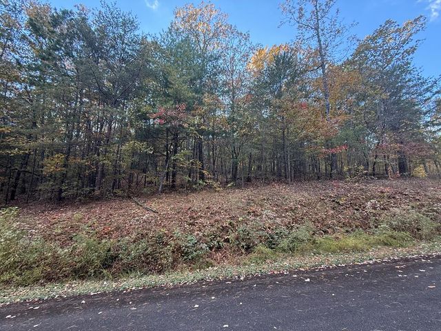 0 Lot 7 Black Bear Court, Ellijay, GA 30536