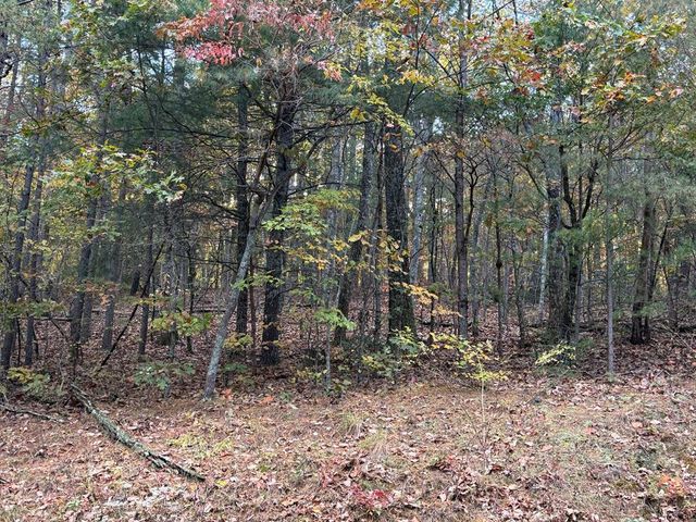 0 Lot 7 Black Bear Court, Ellijay, GA 30536