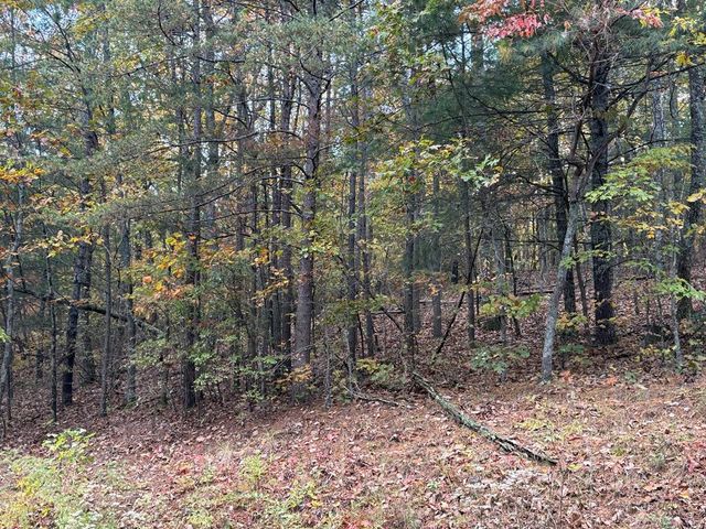 0 Lot 7 Black Bear Court, Ellijay, GA 30536