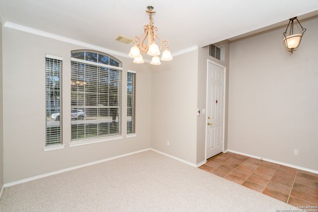 244 Turkey Tree, Cibolo, TX 78108