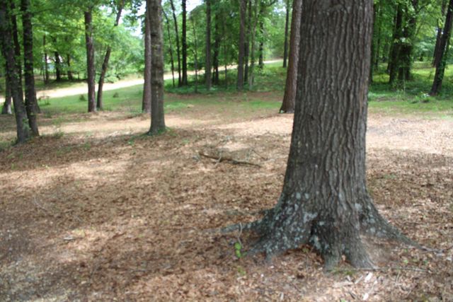 219 Hempstead 345, Nashville, AR 71852