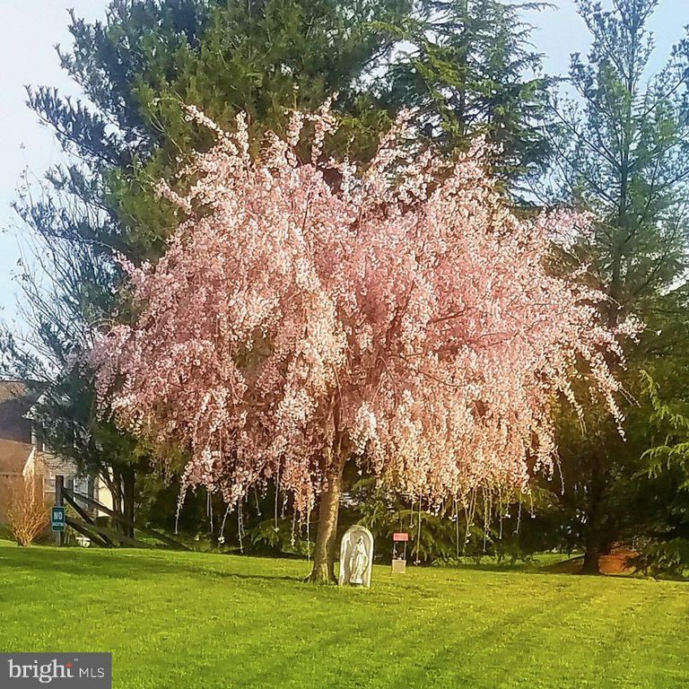 1 BOHEMIA RD, Bear, DE 19701