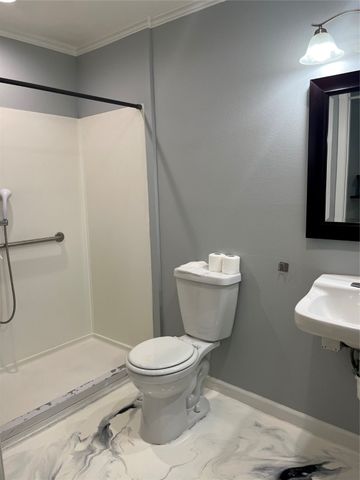 4209 Culmer Lane, Balch Springs, TX 75180