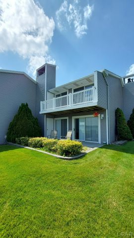 1359 Lake Shore Drive, Brooklyn, MI 49230