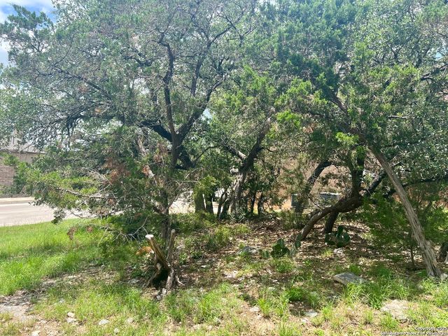 24002 Viento Oaks, San Antonio, TX 78260