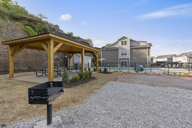 3107 S Vineyards Terrace 4, Branson, MO 65616