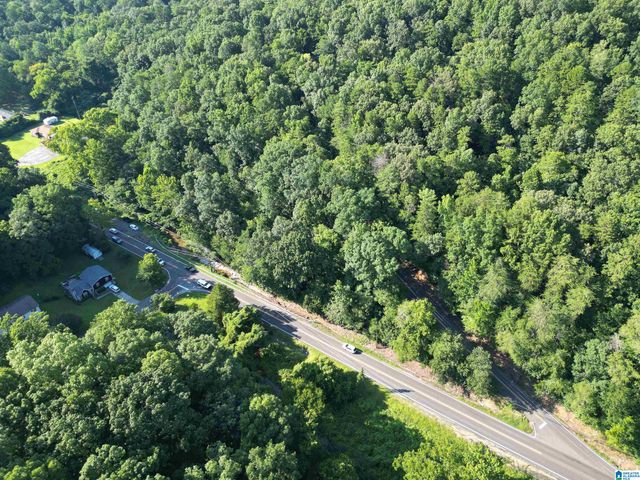3101 SWEENEY HOLLOW ROAD, Birmingham, AL 35215
