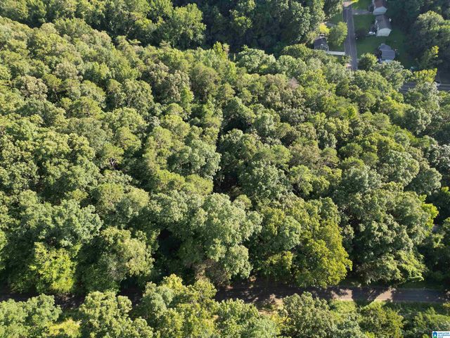 3101 SWEENEY HOLLOW ROAD, Birmingham, AL 35215