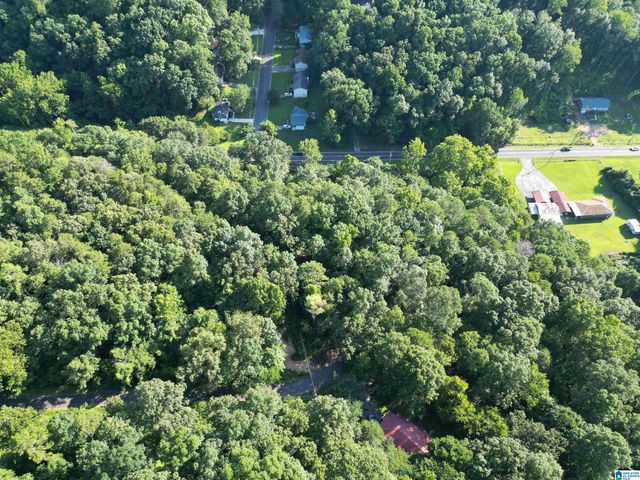 3101 SWEENEY HOLLOW ROAD, Birmingham, AL 35215